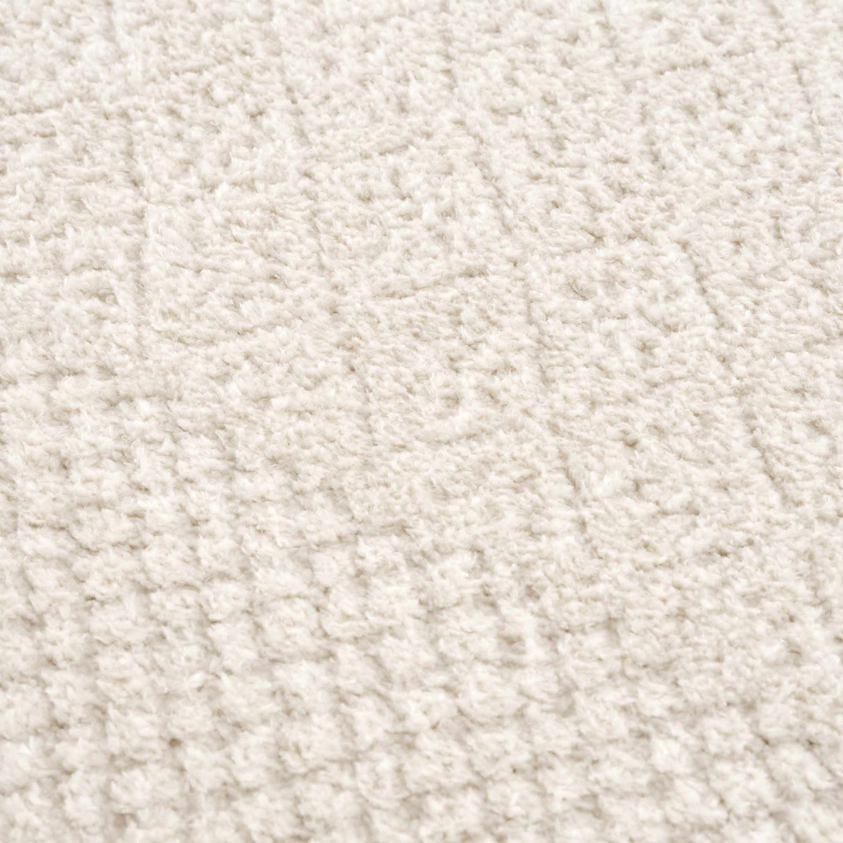 Julio Ivory Area Rug