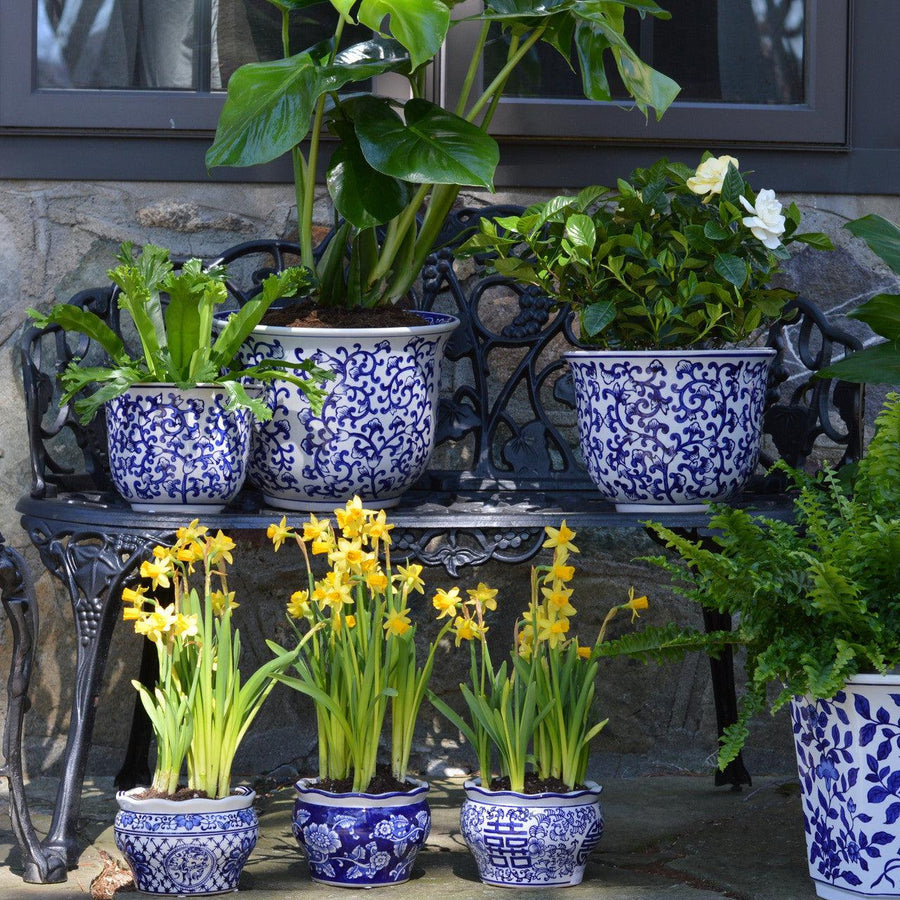 Florentine-Vine-Ceramic-Planter-Set-–-Blue-&-White-(Set-of-3)-Pots-&-Planters