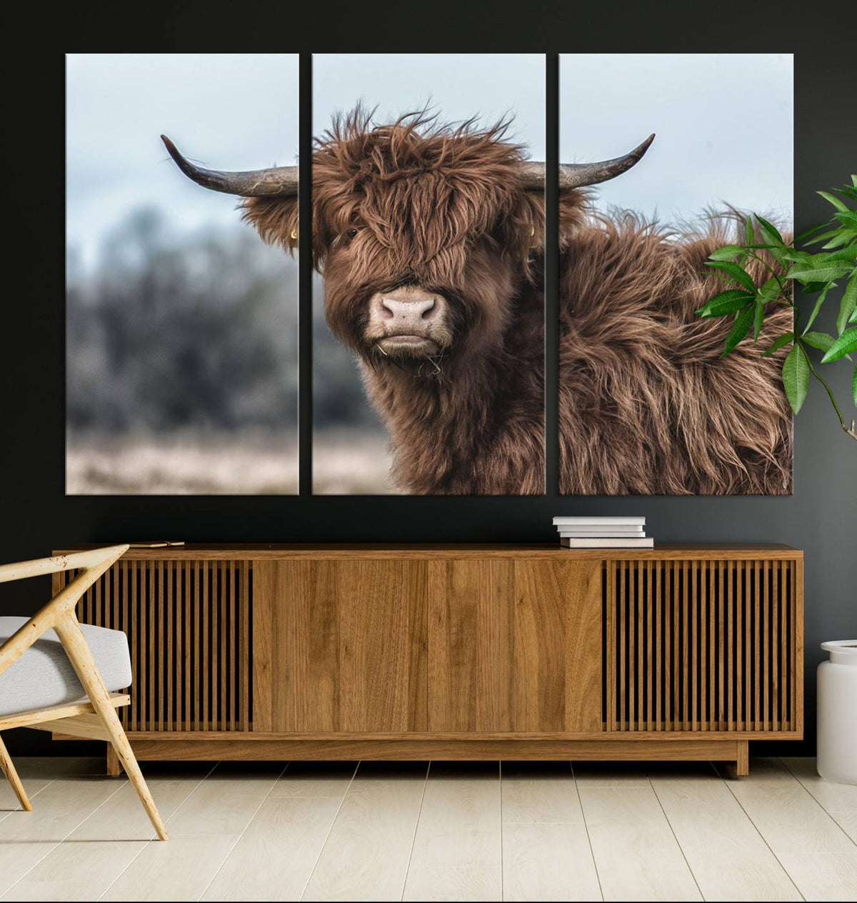 Fluffy Highland Cow Photograph Wall Art Canvas, Black And