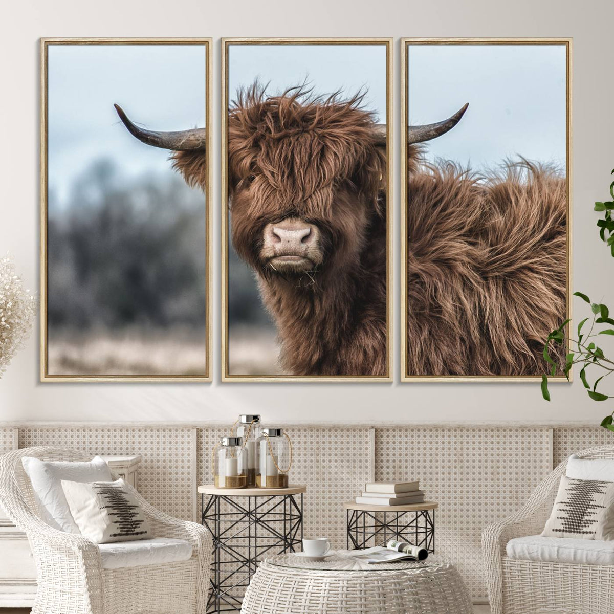 Fluffy Highland Cow Photograph Wall Art Canvas, Black And