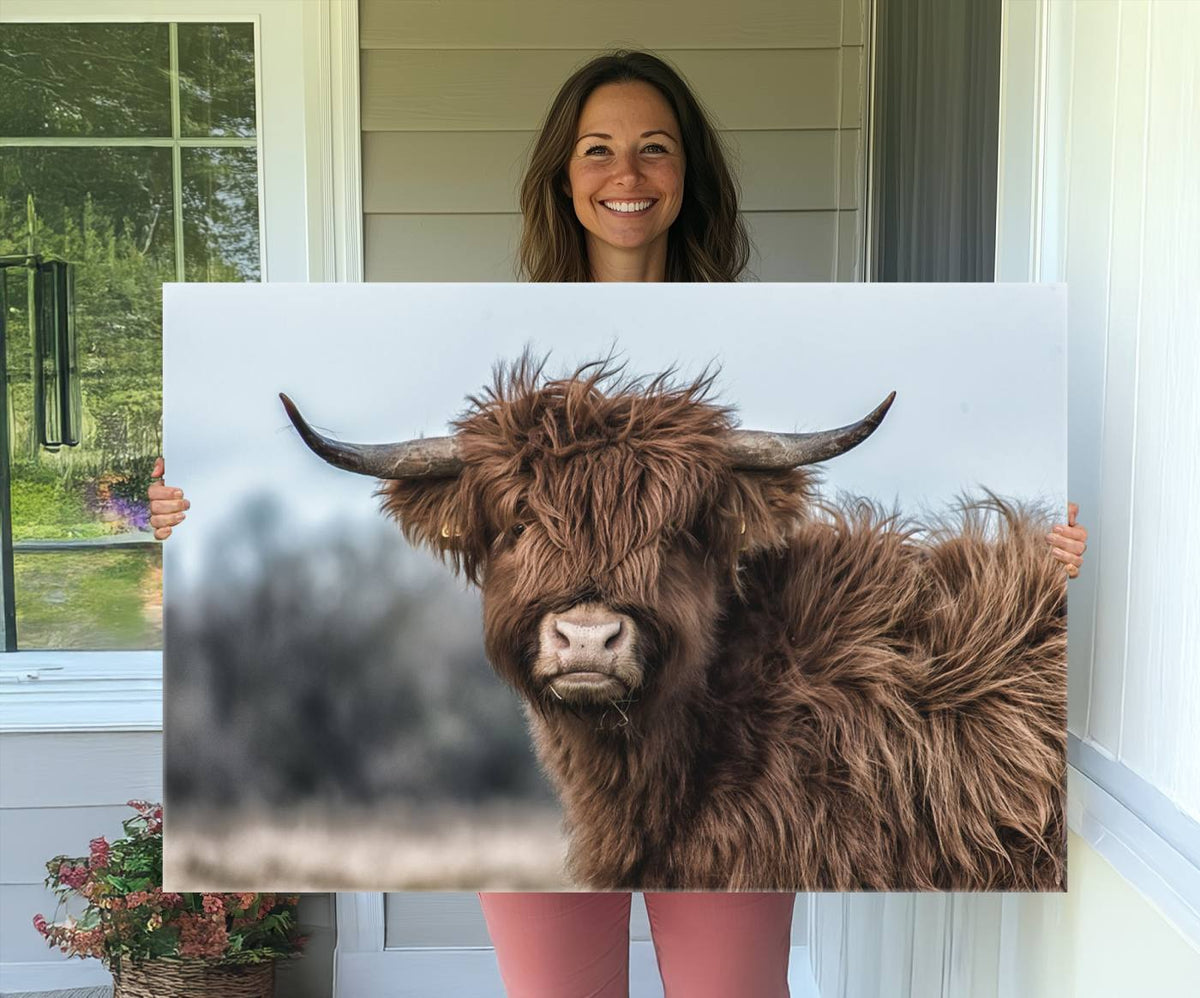 Fluffy Highland Cow Photograph Wall Art Canvas, Black And