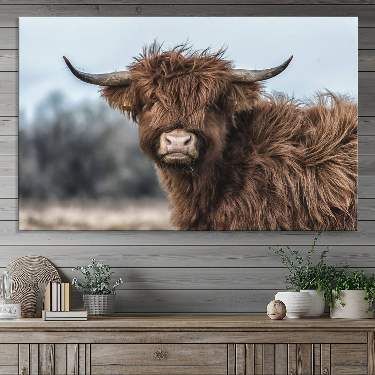 Fluffy Highland Cow Photograph Wall Art Canvas, Black And