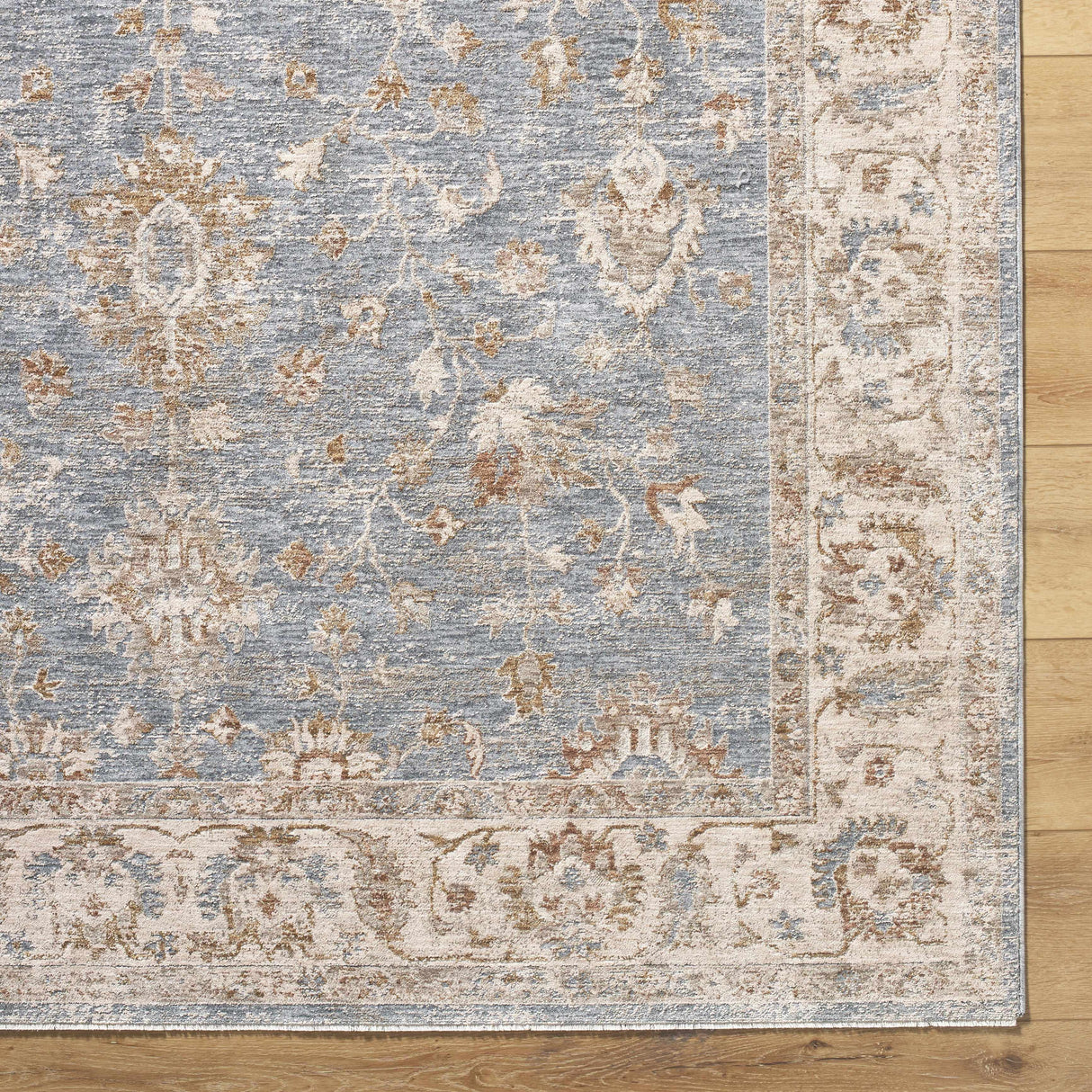 Avivit Sage Area Rug