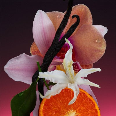 Athena Club Skin Replenishing Body Wash Super Pink 18 fl oz - New