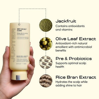 Jupiter Dry Scalp Care Deep Moisturizing Conditioner 8.5 fl oz