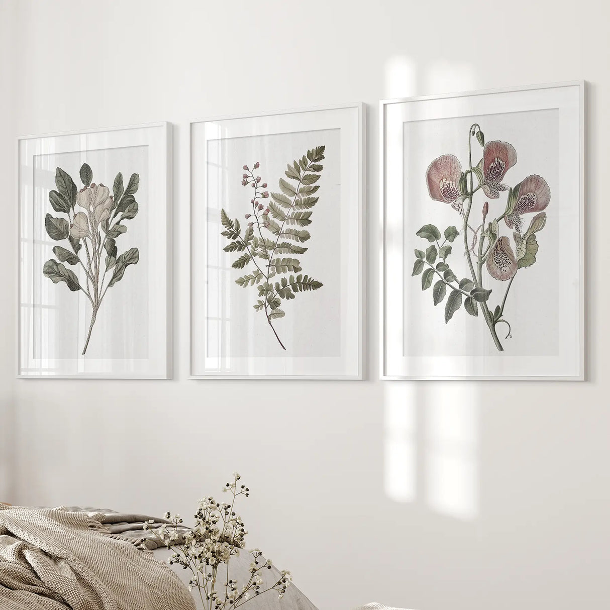 Floral Plant Vintage Decor. Botanical Neutral Art