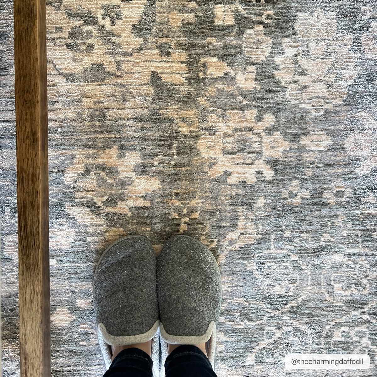 Guiwanon Area Rug - Clearance