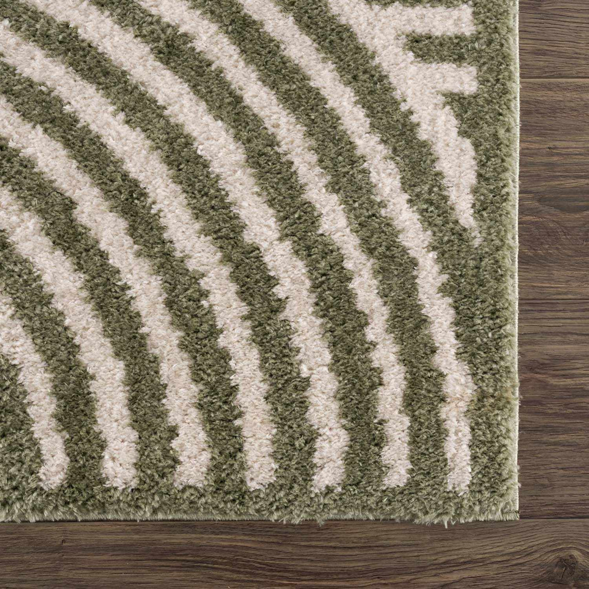 Allard Green Washable Area Rug