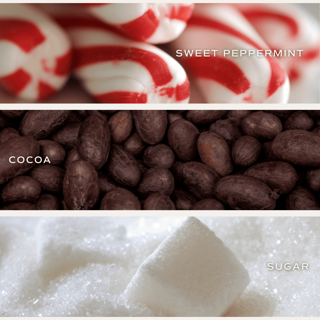 Hot Cocoa and Peppermint Soy Candle - White Jar - 11 oz