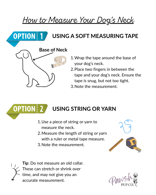 Coiled Charm Hand Braided Dog Collar in Royal Blue, Graphite, & White