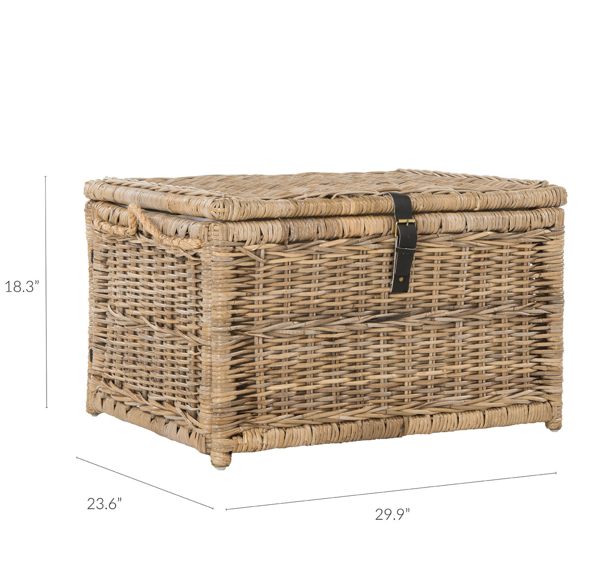 Caden Wicker Storage Trunk Chest