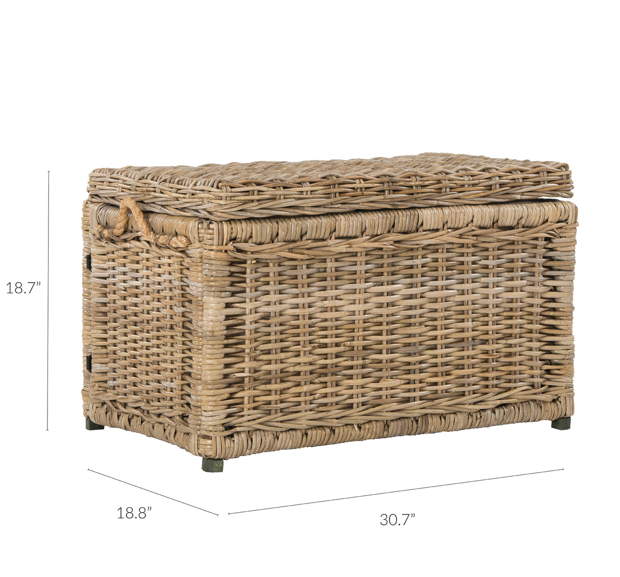 Jacob Handwoven Wicker Storage Trunk