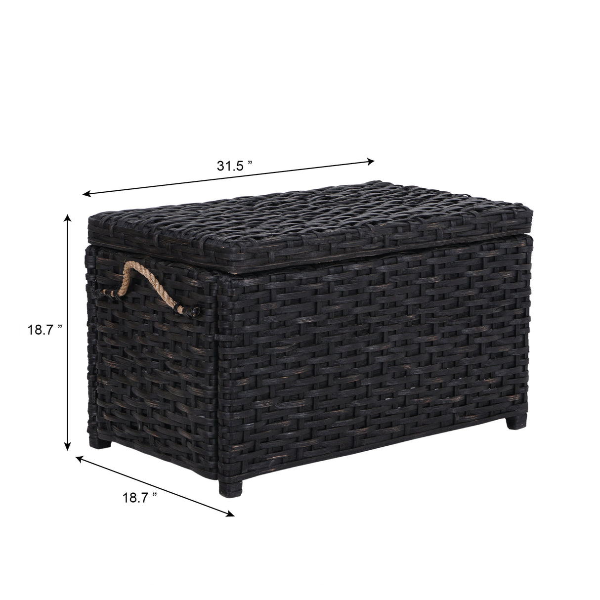 Jacob Handwoven Wicker Storage Trunk
