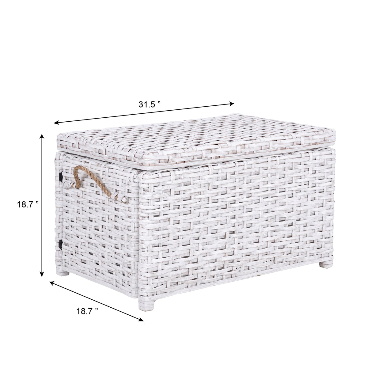 Jacob Handwoven Wicker Storage Trunk