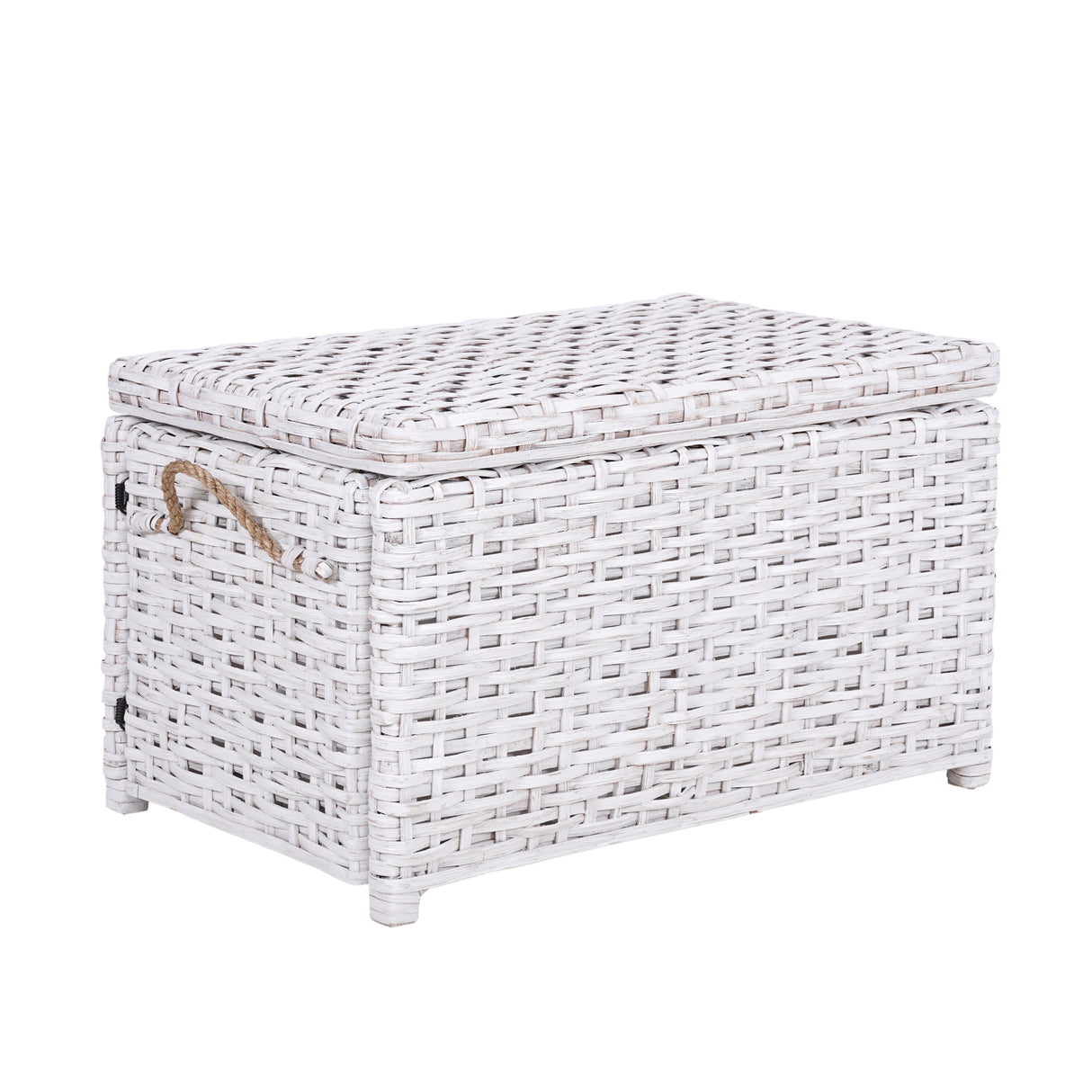 Jacob Handwoven Wicker Storage Trunk