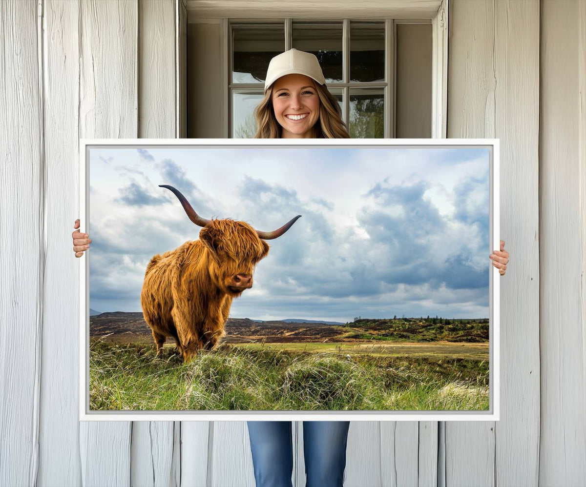 Highland Cattle Wall Art Cow Canvas Print Animal Art