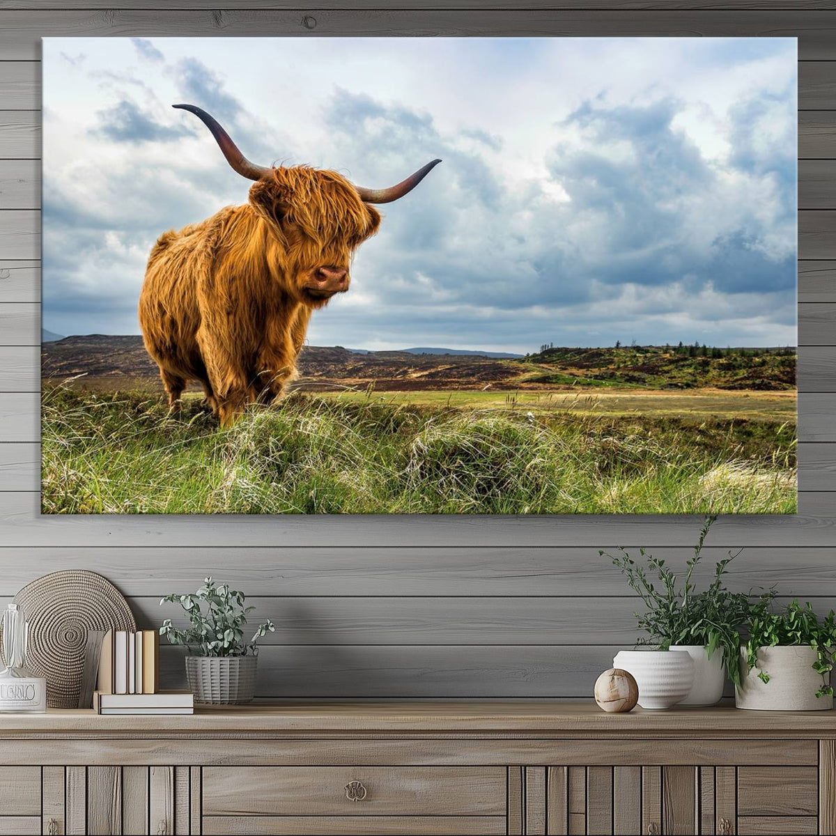 Highland Cattle Wall Art Cow Canvas Print Animal Art