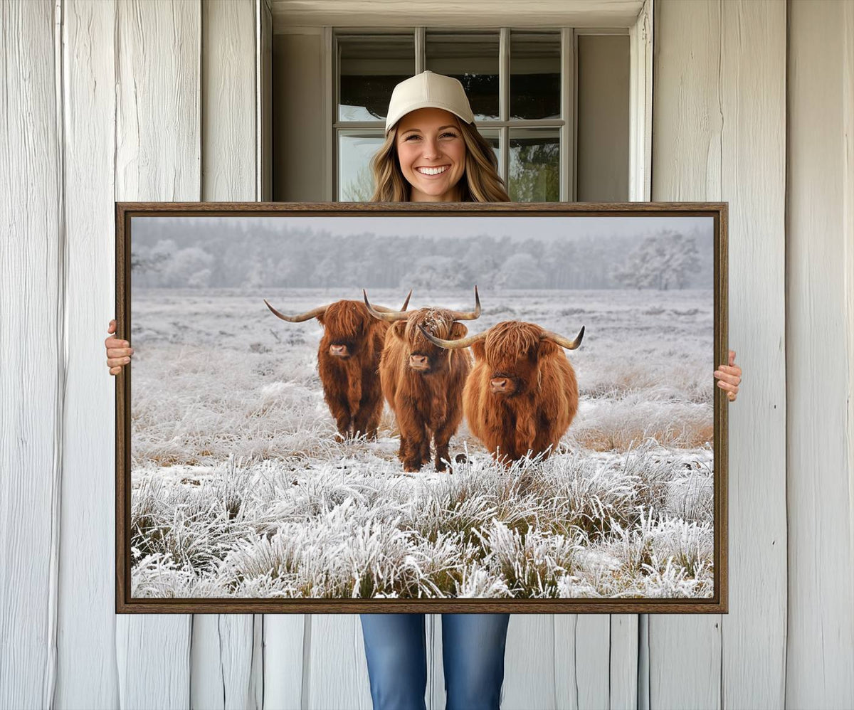 Highland Cows in Snow Canvas Art Print, Highland Cattle