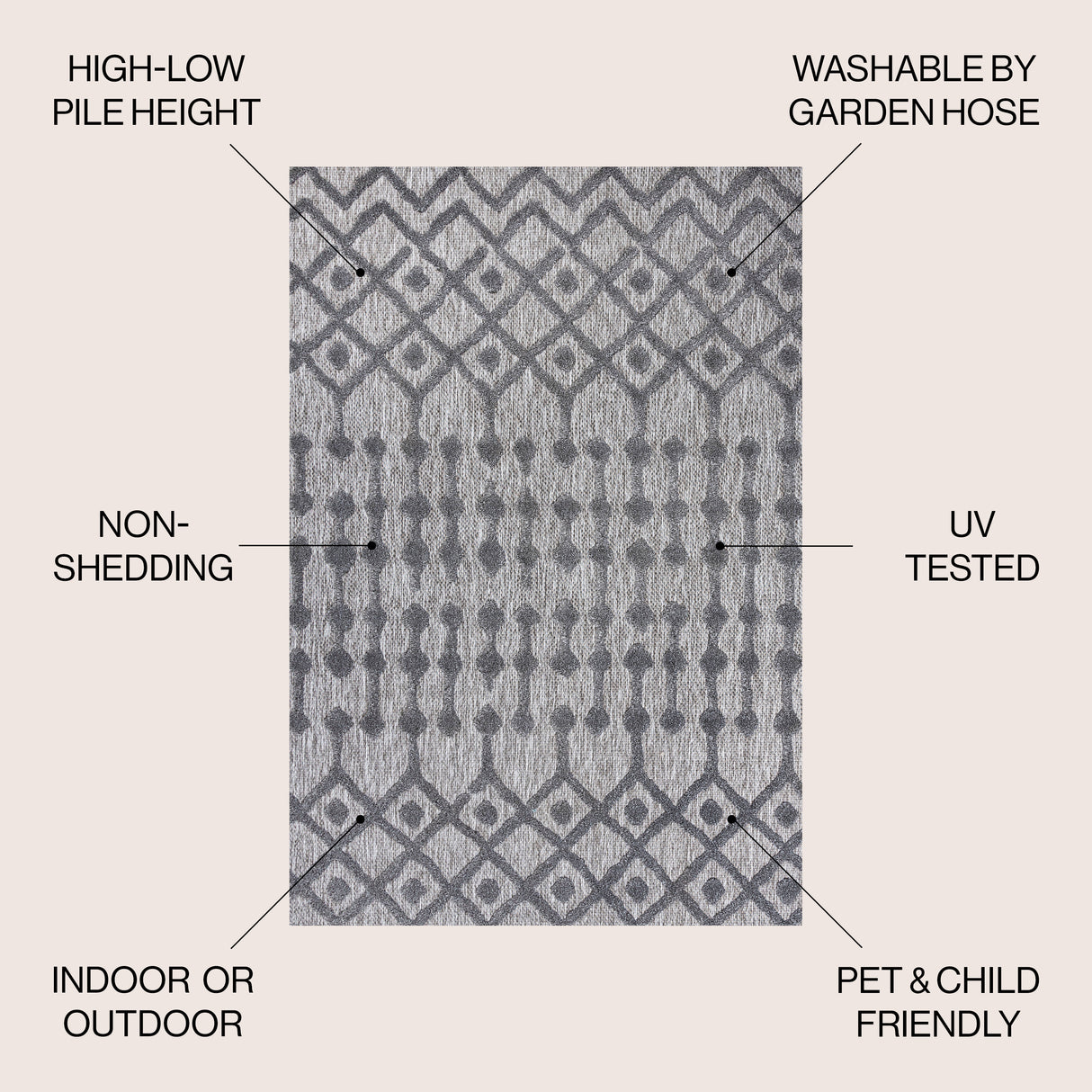 Peralta Moroccan Diamond Indoor/Outdoor Area Rug