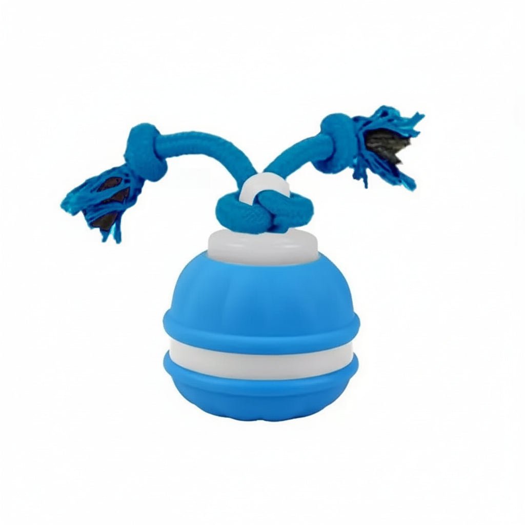 Interactive Dog Toy Motion Sensor Ball with Tug Rope Active Play Toy