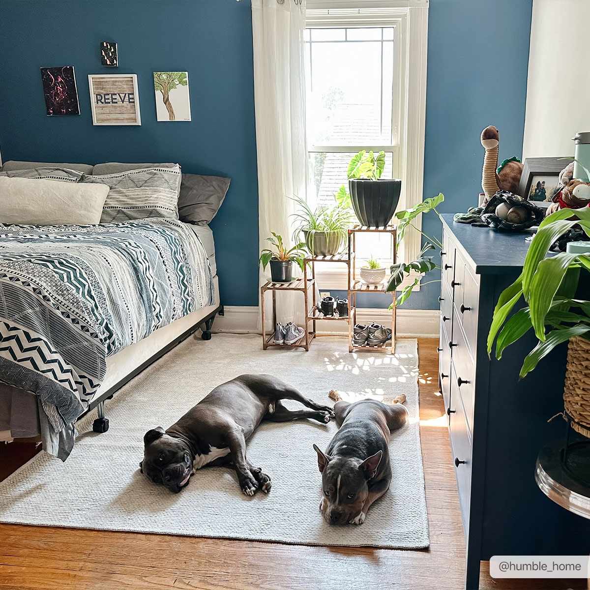 Isako Gray Solid Washable Area Rug - Clearance