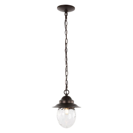 Manteo-1-Light-Farmhouse-Industrial-Iron/Glass-Outdoor-LED-Pendant-Pendants