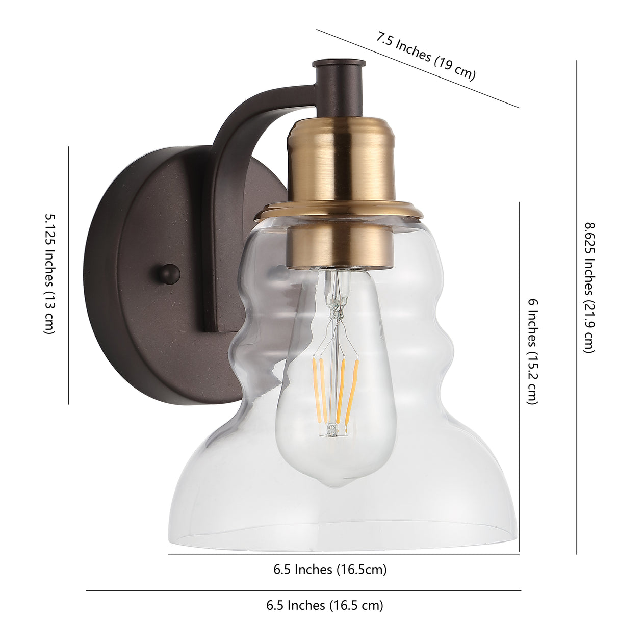 Manhattan 1-Light Metal/Glass Industrial Rustic LED Vanity