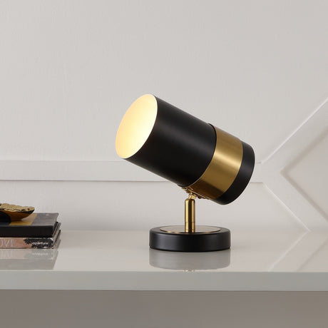 Astra-Modern-Industrial-Iron-Adjustable-Indoor-LED-Floor-Spotlight-Floor-Lamps