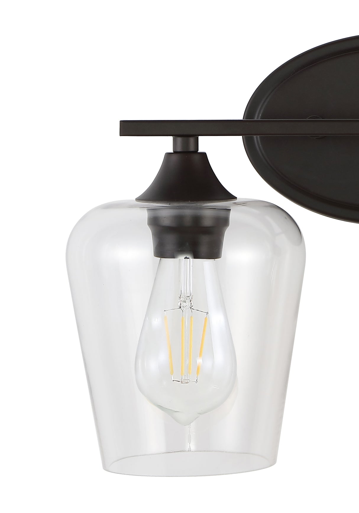 Jayne 2-Light Iron/Seeded Glass Cottage Rustic LED Vanity Light