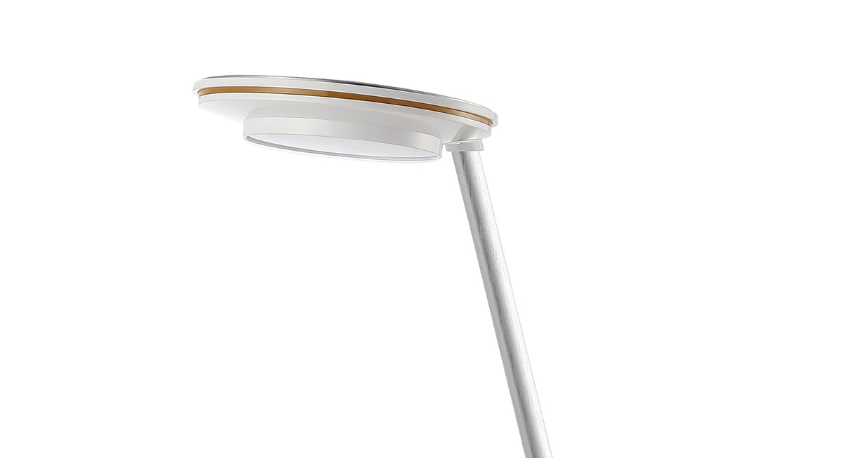 Dixon Aluminum Contemporary Minimalist Adjustable Dimmable USB Charging LED Task Lamp