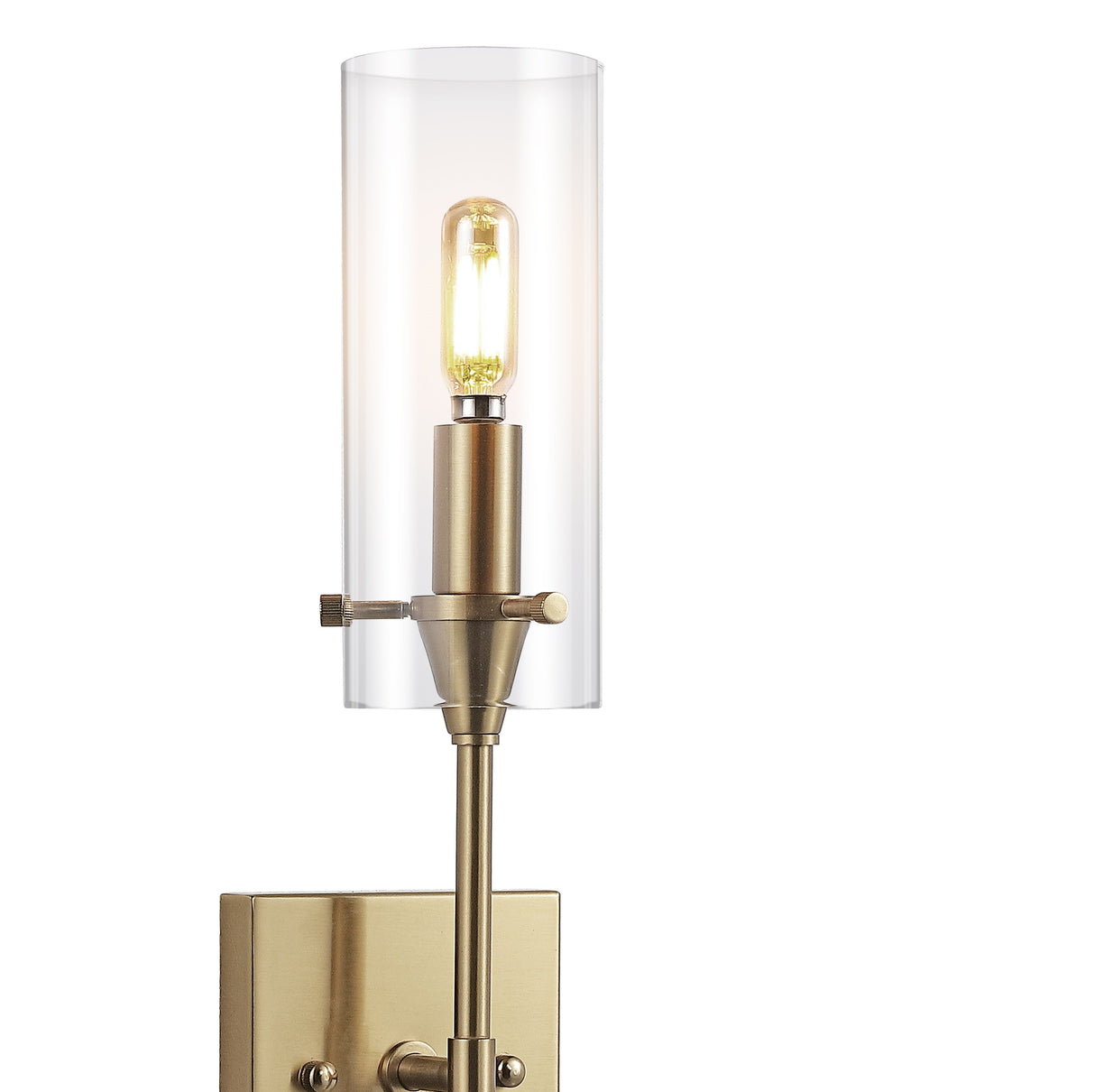 Cato 1-Light Bohemian Farmhouse Iron/Glass LED Vanity