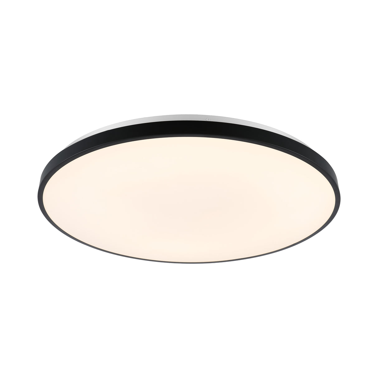 Astrid 1-Light Modern Minimalist Iron Circle Integrated LED Flush Mount