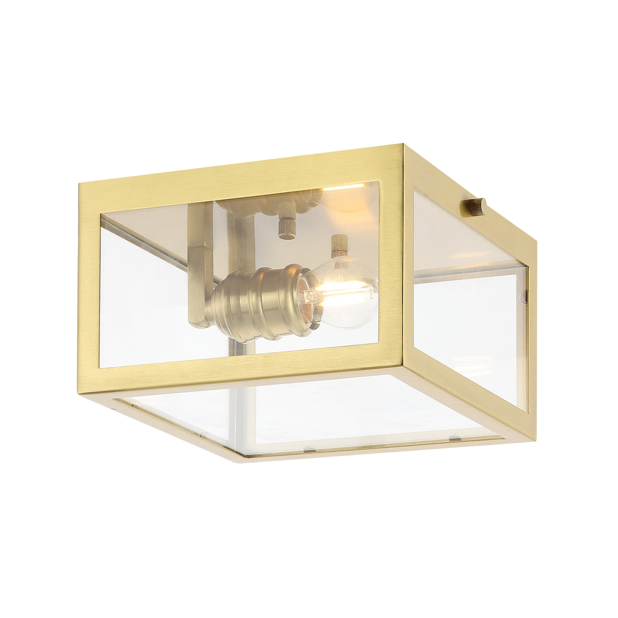 Eleanor-1-Light-Farmhouse-Industrial-Square-Iron/Glass-Case-LED-Flush-Mount-Flush-Mounts