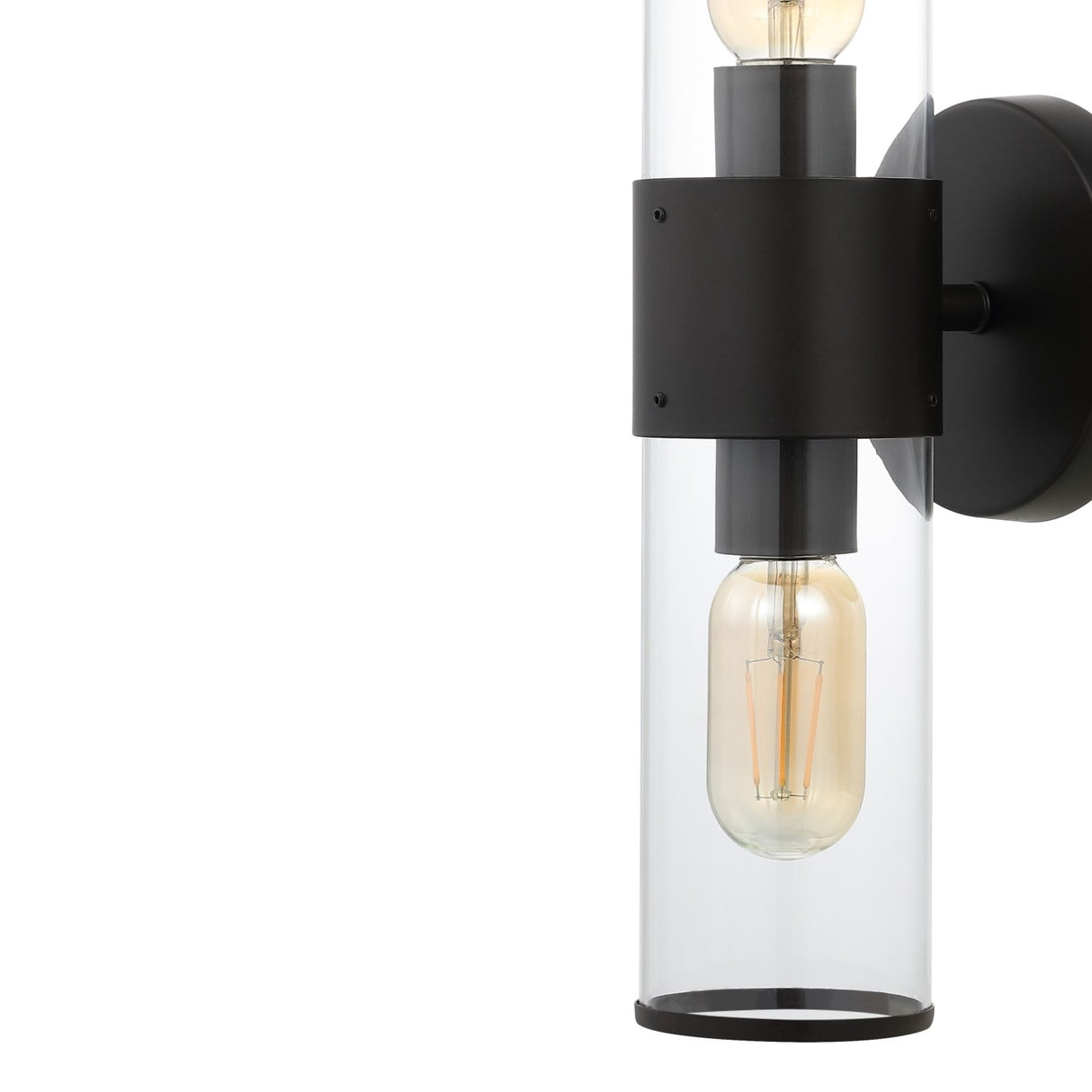 Quinn 2-Light Farmhouse Industrial Iron/Acrylic LED Sconce