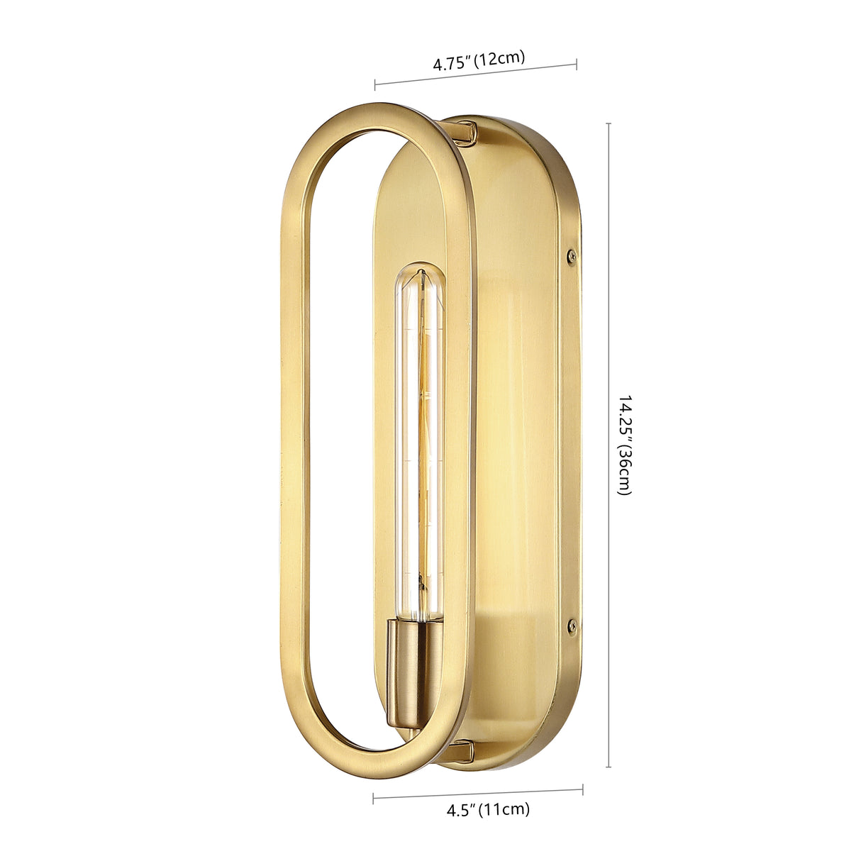Emilia 1-Light Modern Bohemian Iron LED Sconce