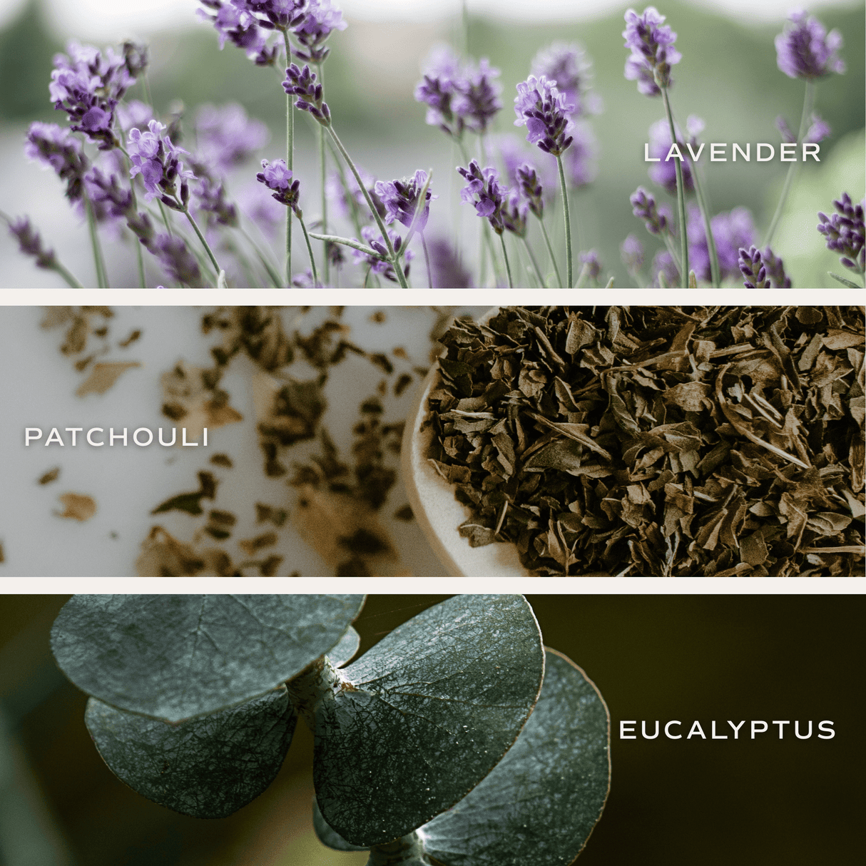 Self Care Soy Candle - Clear Jar - 9 oz (Lavender and Eucalyptus, Calm and Comfort)