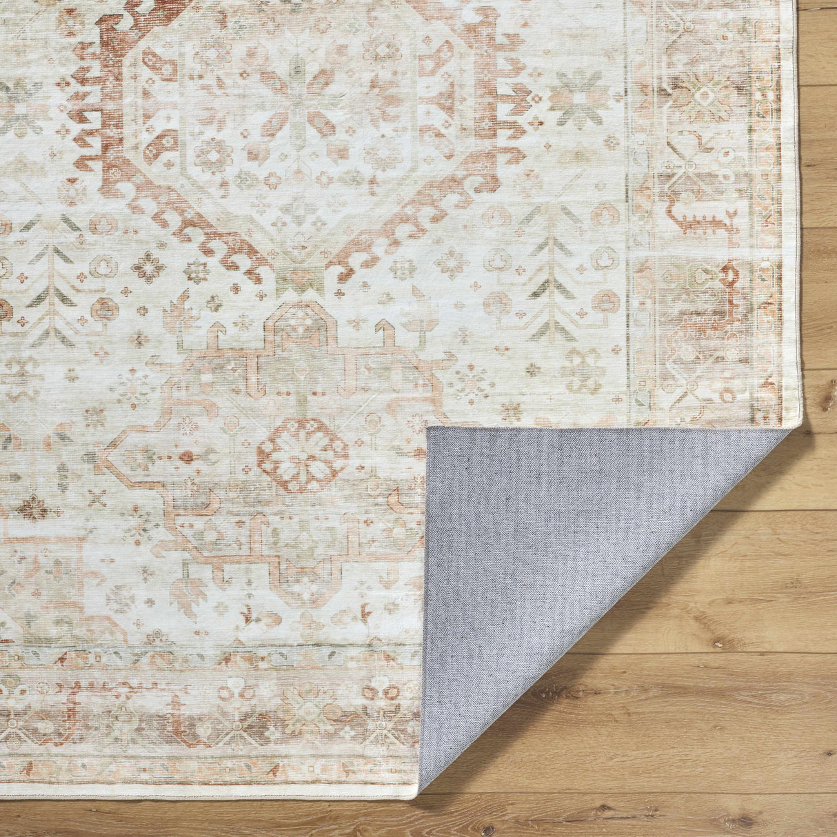 Laran Rust Distressed Washable Area Rug