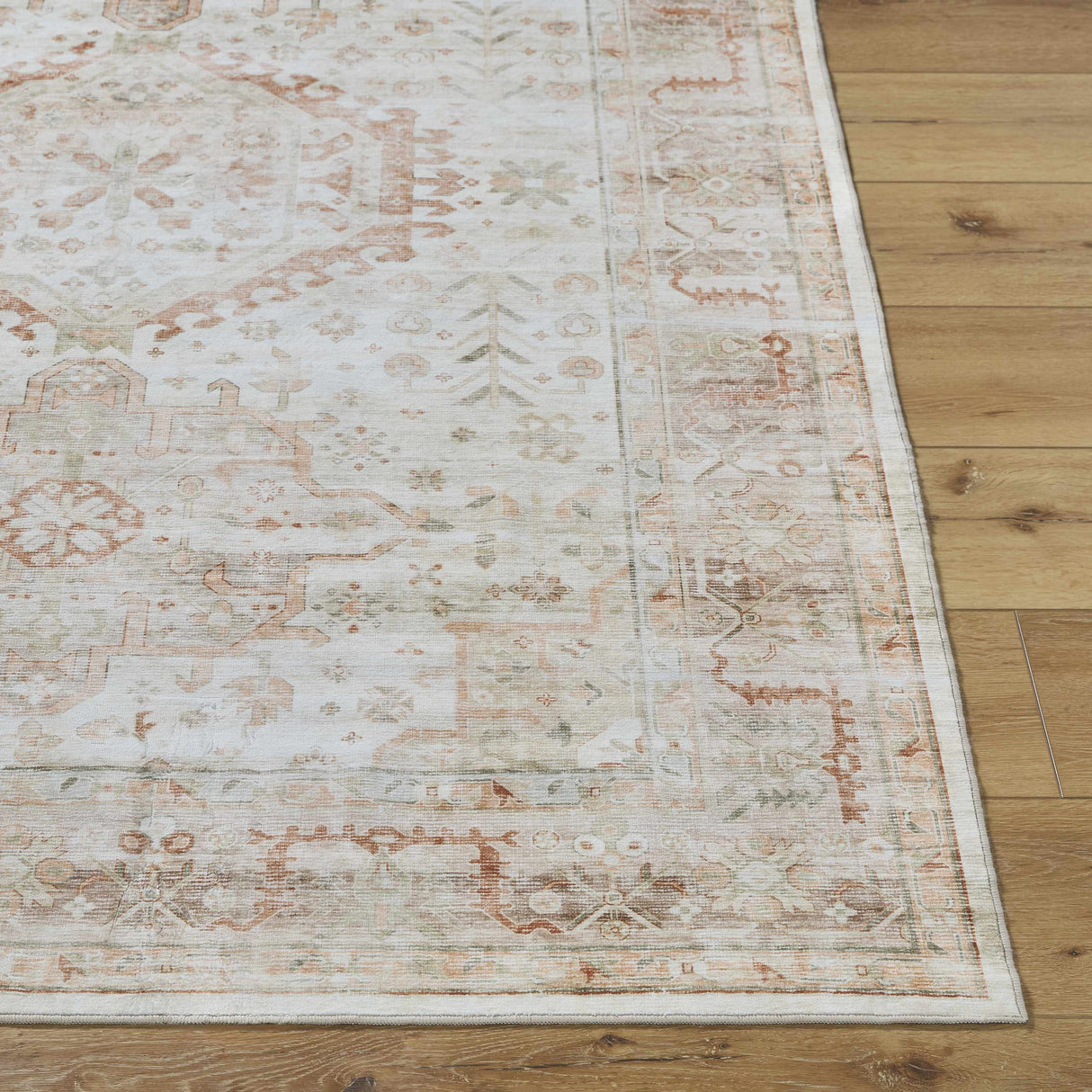 Laran Rust Distressed Washable Area Rug