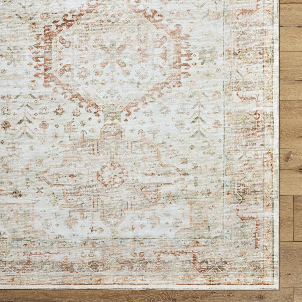 Laran Rust Distressed Washable Area Rug