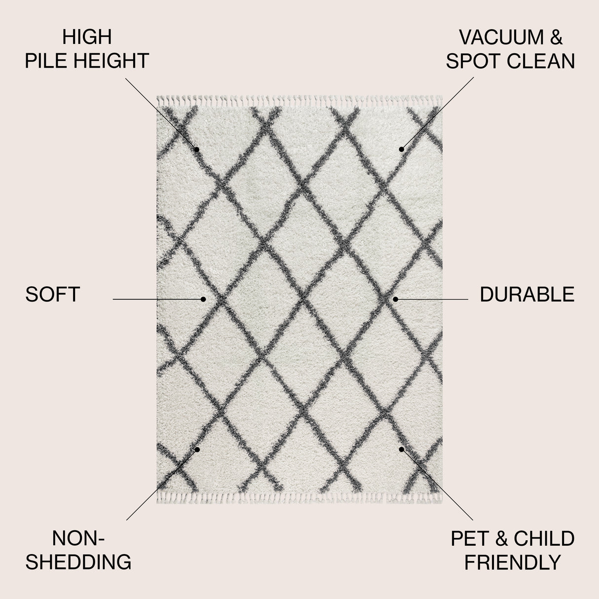Mercer Shag Plush Tassel Moroccan Trellis Area Rug