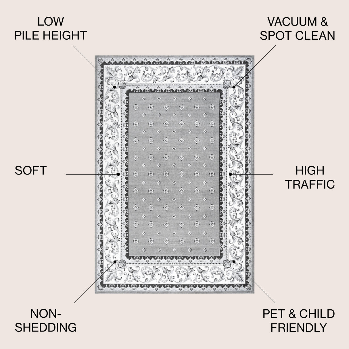 Acanthus French Border Area Rug