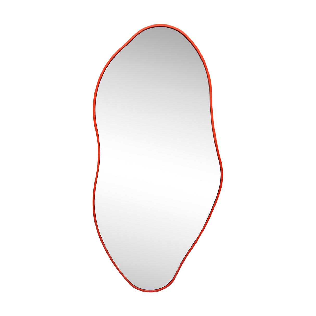 Everly Irregular Framed Decorative Wall Mirror