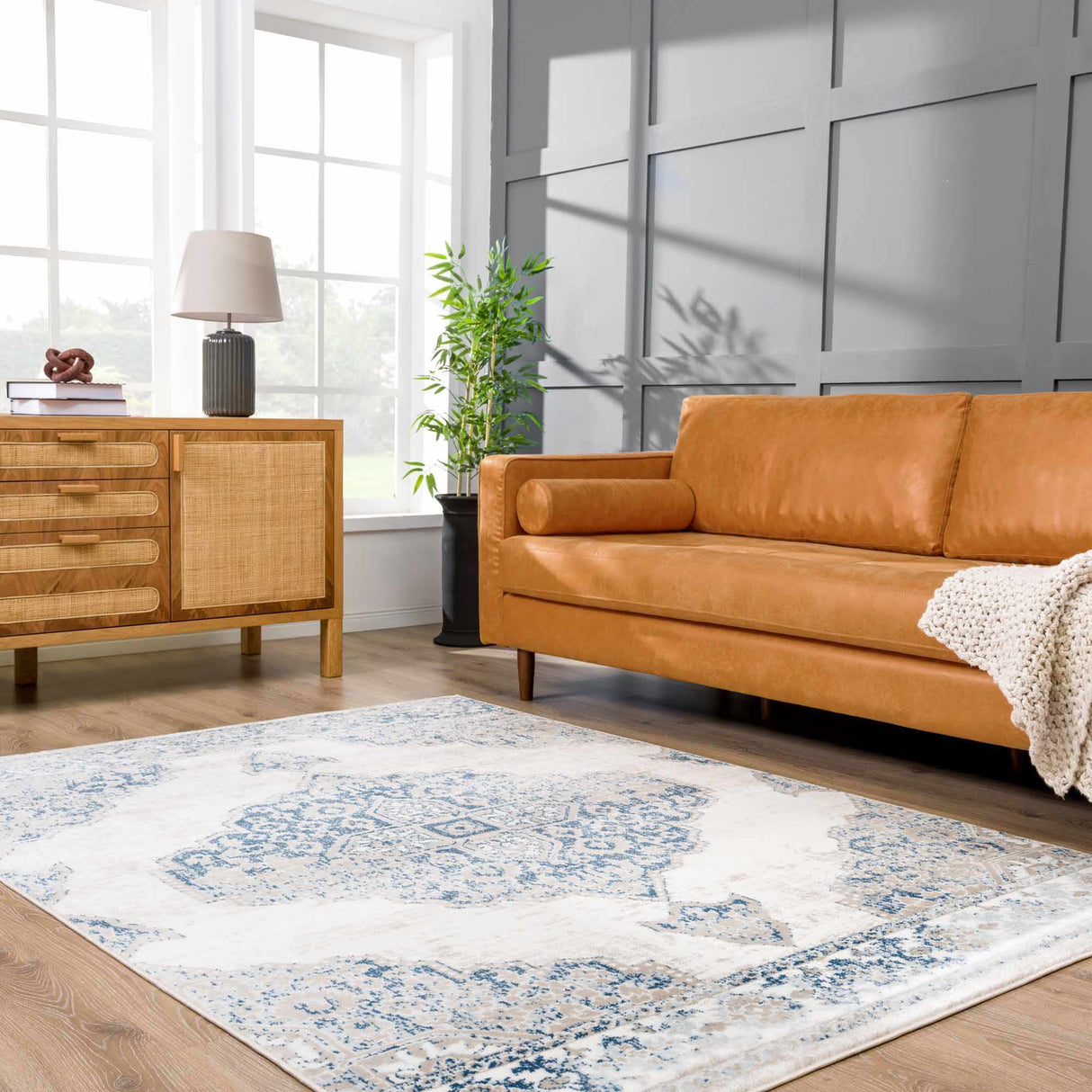 Amir Area Rug - Clearance