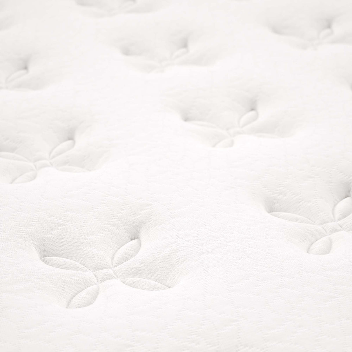 Jenna 8" Innerspring and Foam Twin Mattress by Modway