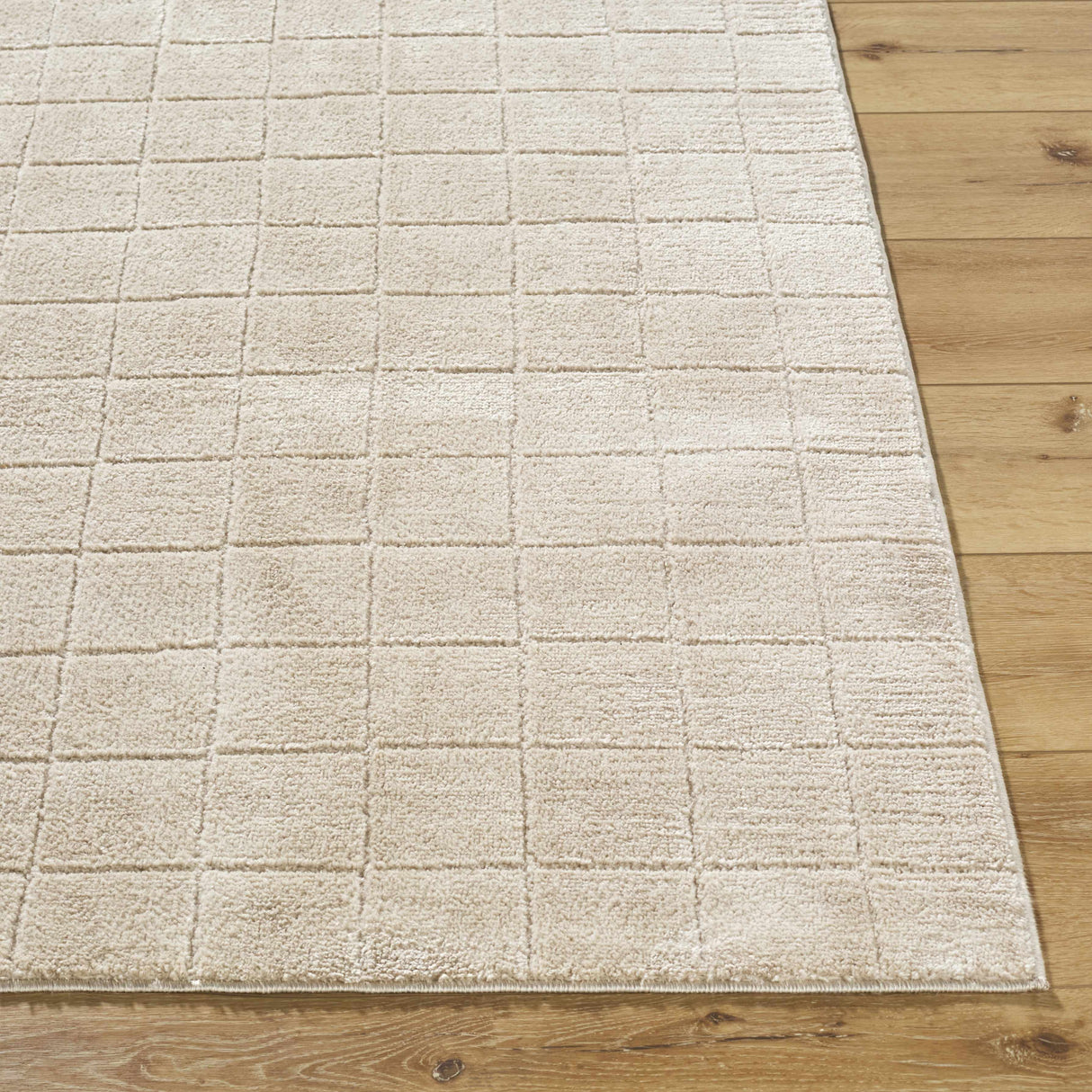 Cascade Checkered Beige Area Rug
