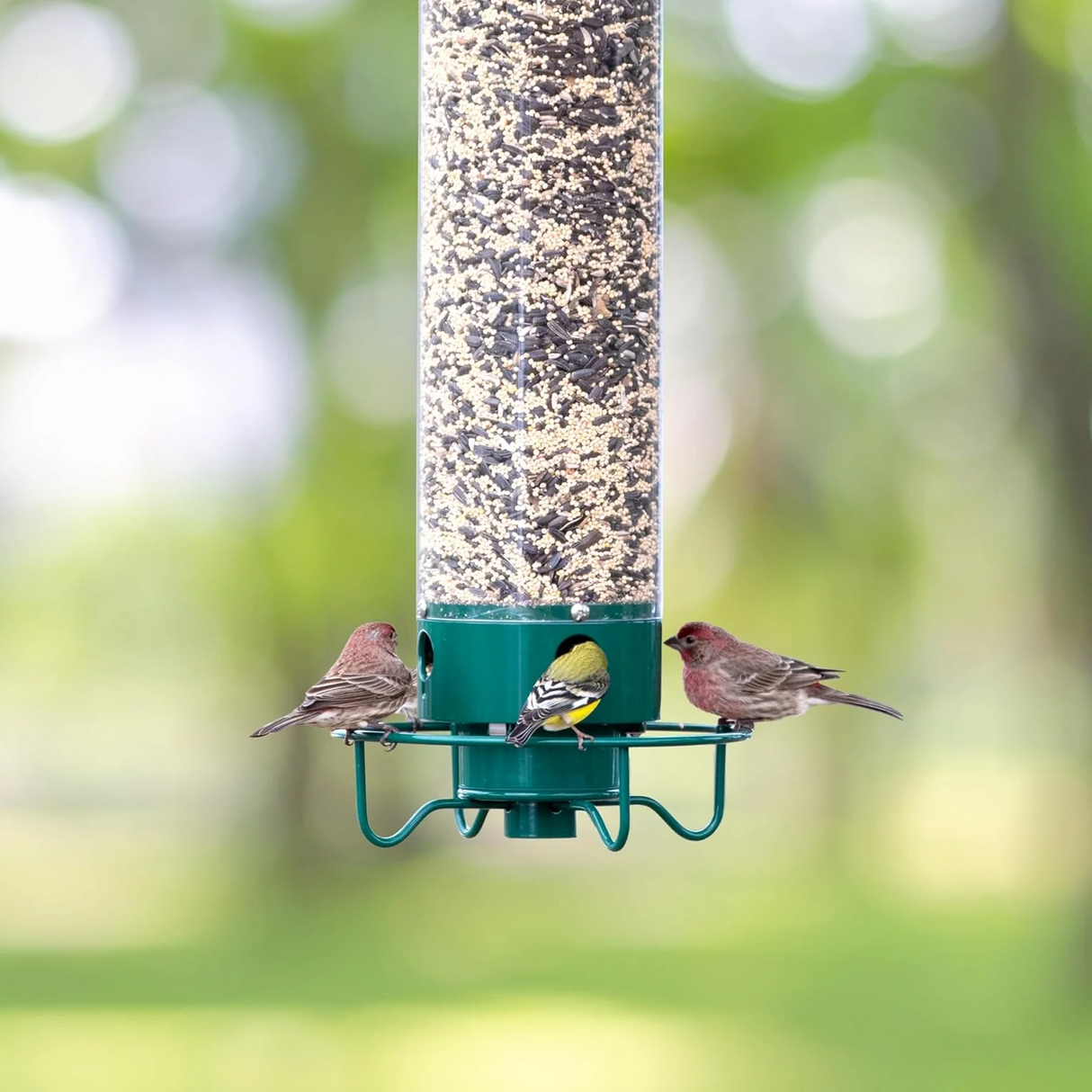Squirrel Proof Bird Feeder Hanging Metal Wild Bird Seed Feeder 35cm