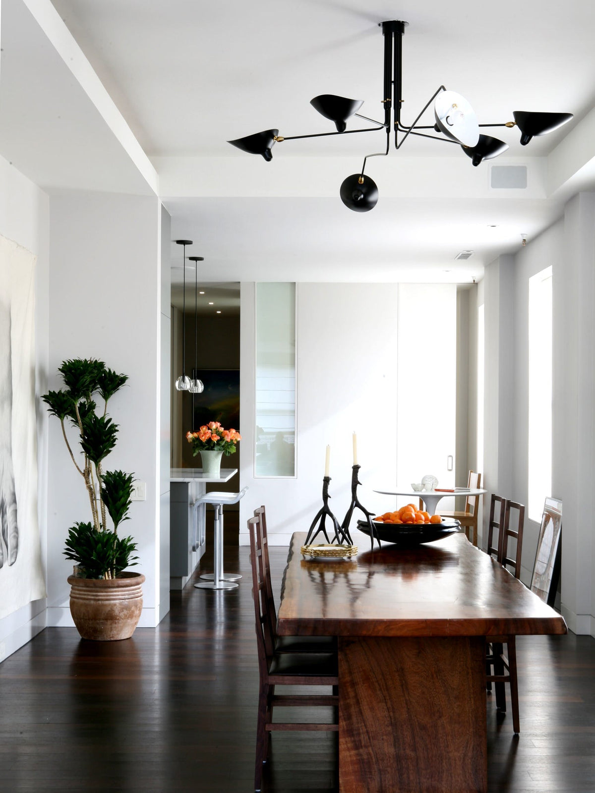 Arachnia | Suspended 3-Arm Ceiling Light with Rotating Reflectors, Black or White Finish