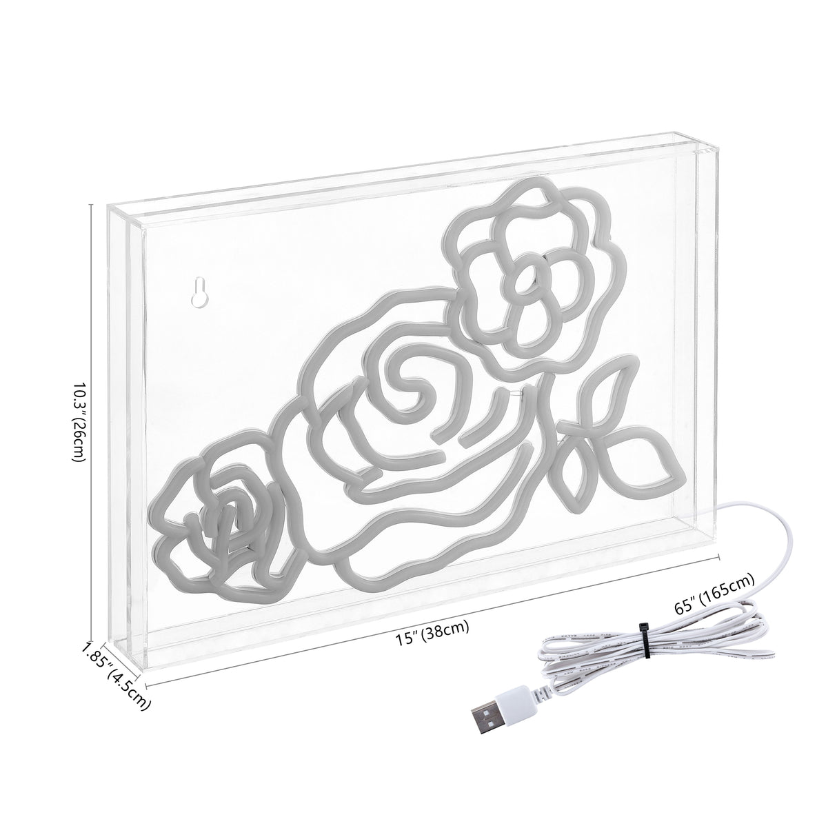 Crowd X 10.3" Contemporary Glam Acrylic Box USB Operated LED Neon Light