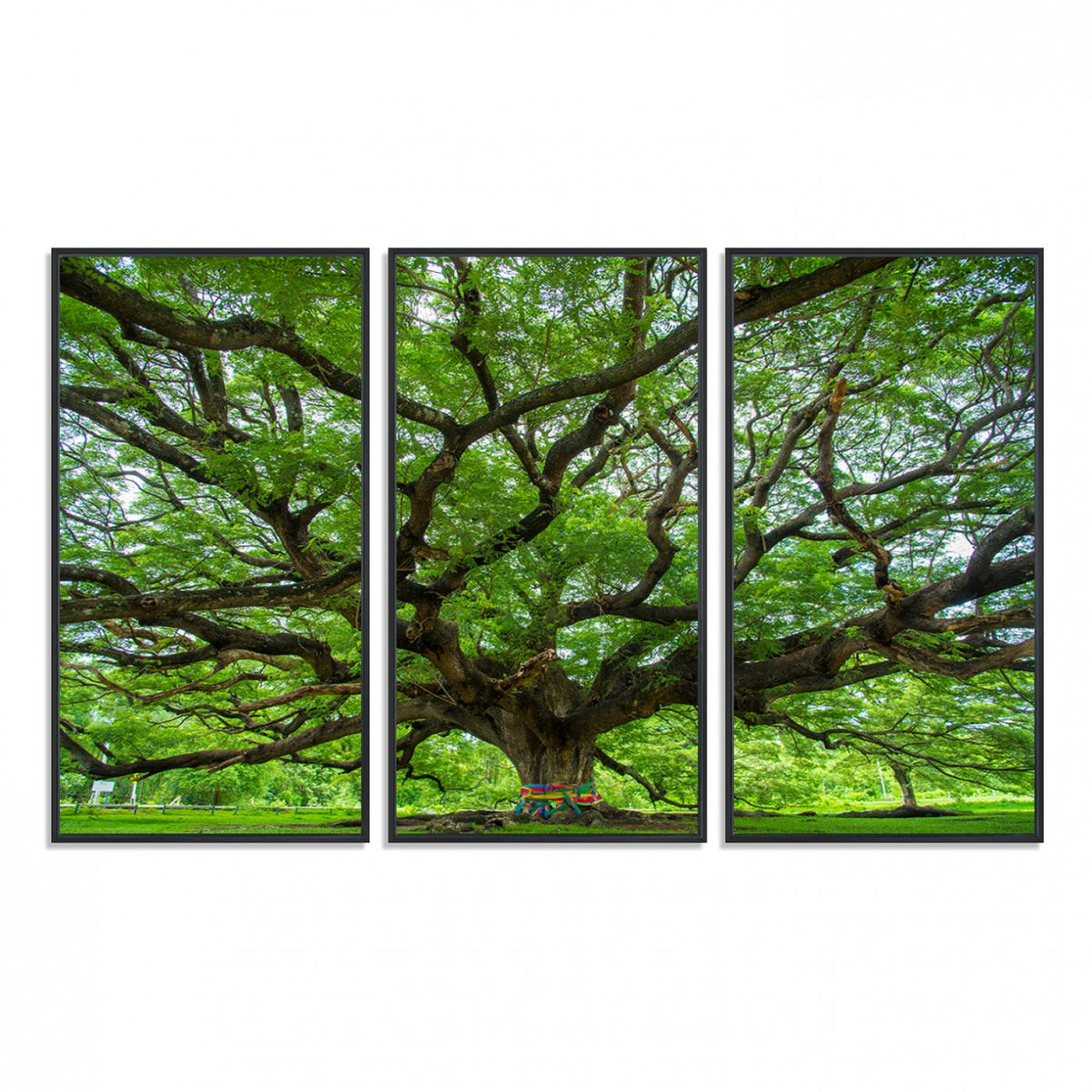 Oak Tree Wall Art Print, Forest Canvas Wall Art for Home and