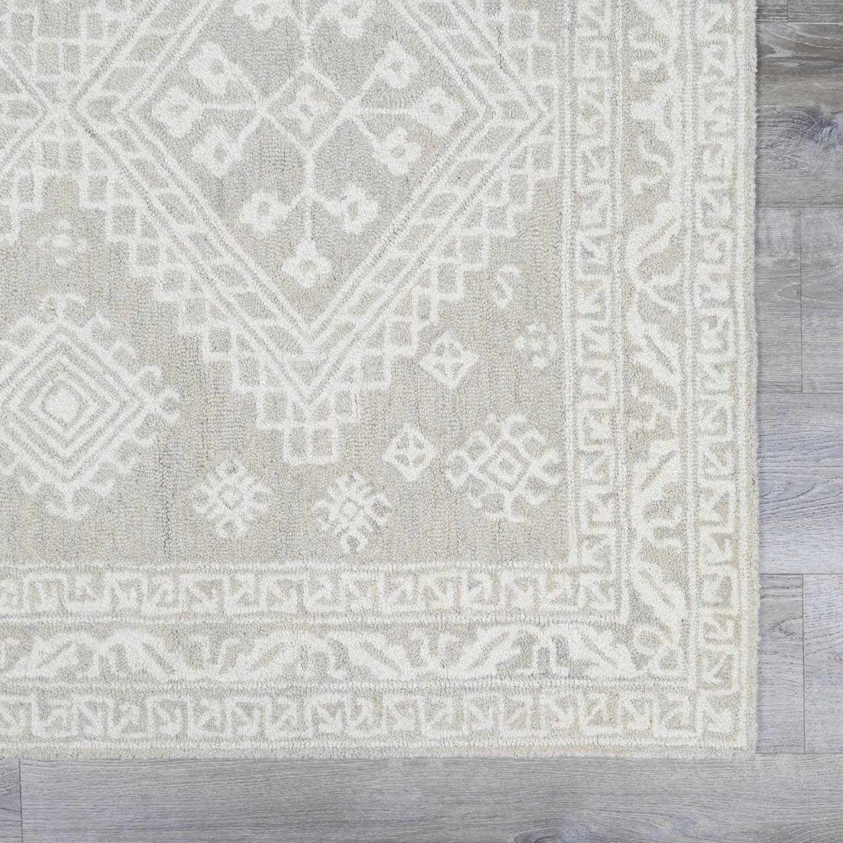 Paloma Area Rug